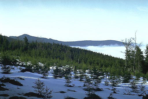 Inversion clouds under "Sharp Mount" - smaller format