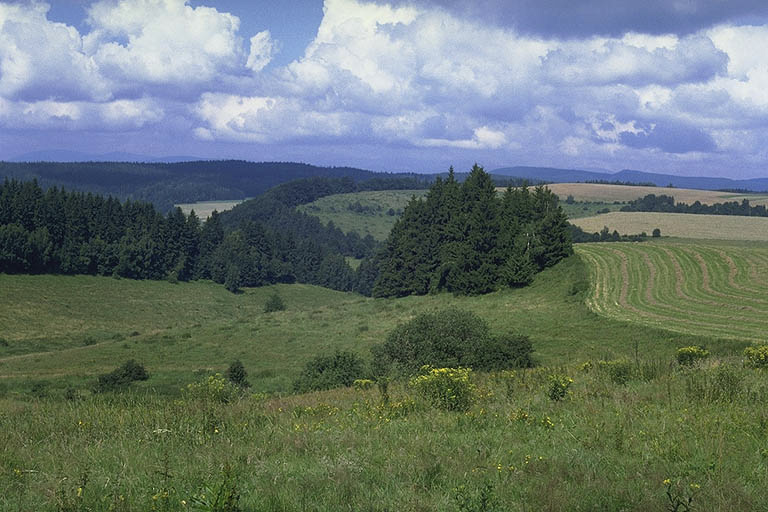 Nad Janovicemi - vt formt