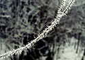 Ice accretion - main link