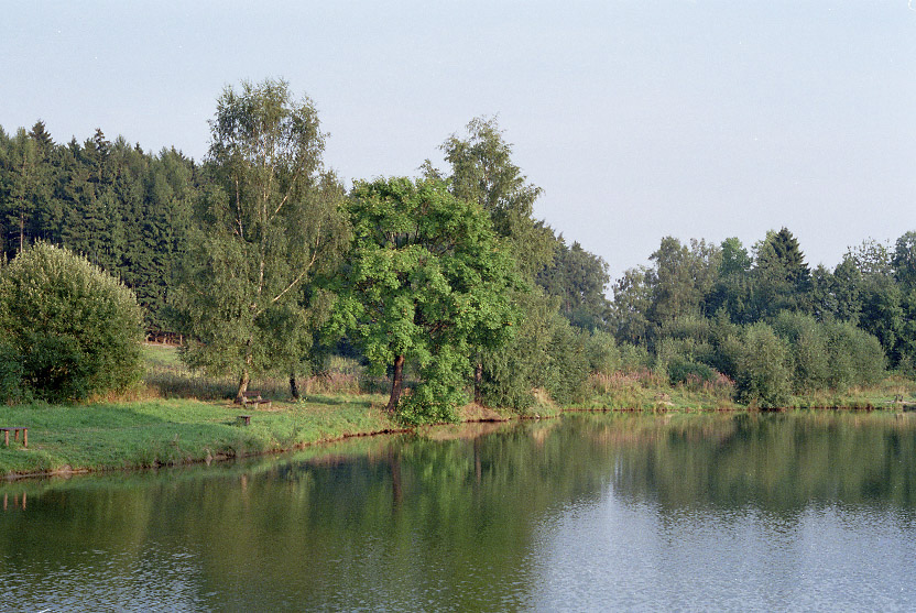 Hlavovsk rybnk - vt formt