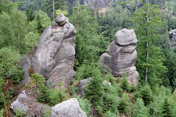 Nad Pnovou cestou - men formt