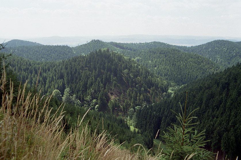 Valley under "Suchava" hill - larger format