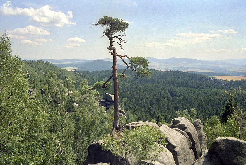 Rozhledy ze Supch skal - vt formt