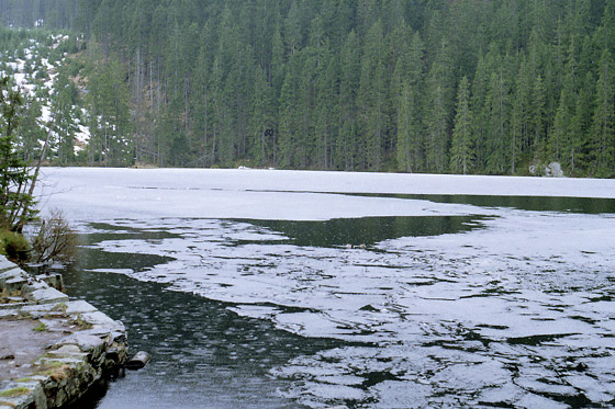 Prilsk jezero - men formt