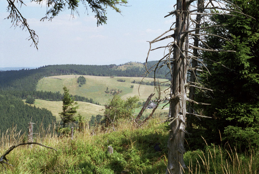 On "Suchava" hill - larger format