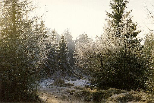 Dmantov den - men formt