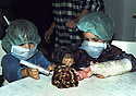 Chirurgov - hlavn odkaz
