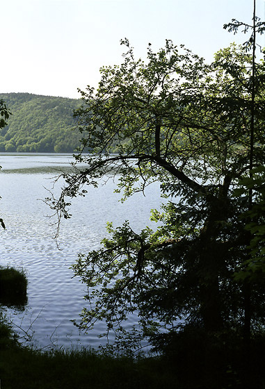 Na Slapech naproti ivohoti - men formt