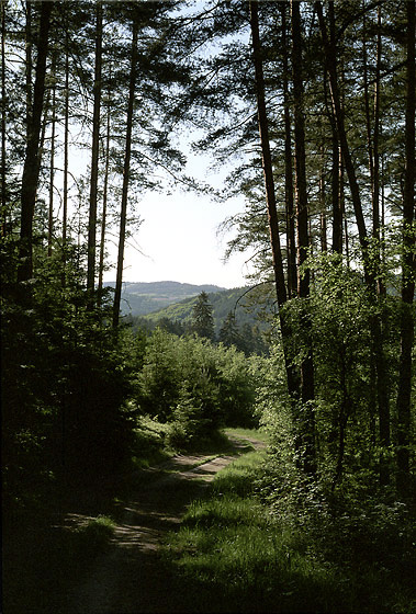 Krajina nad Slapskou pehradou - men formt