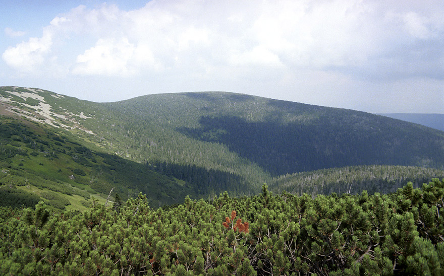 Svorov hora - vt formt