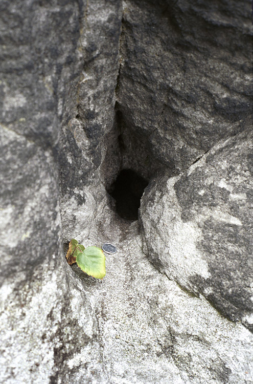 Fulgurite on the height of "Beran pillars" - larger format