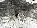 Fulgurite on the height of "Beran pillars" - main link