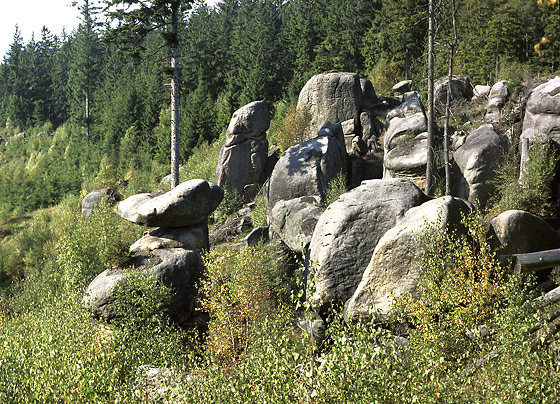 V Barklovch roklch - men formt