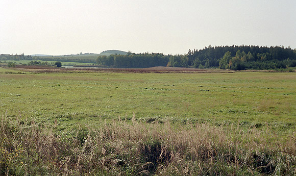 Louka nad rybnkem - men formt