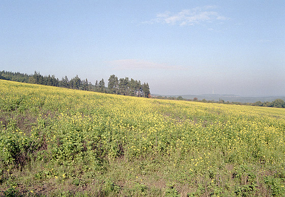 View over the field - smaller format