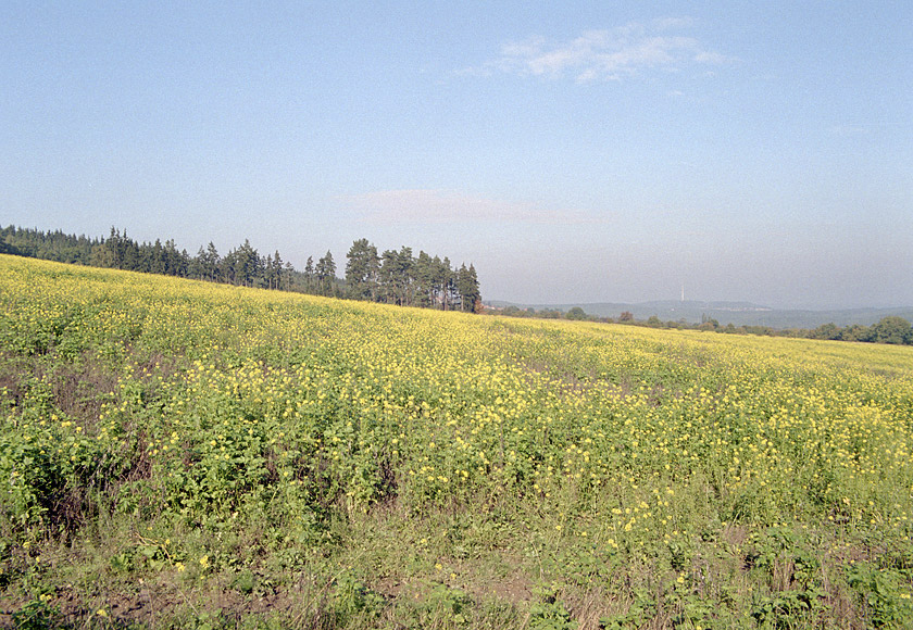 View over the field - larger format