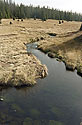 Luzensk potok - hlavn odkaz