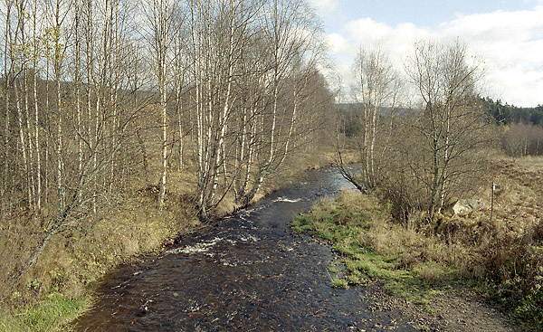 Vltava u Borovch Lad - men formt