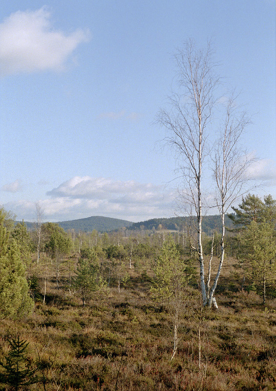 Chalupsk sla - vt formt