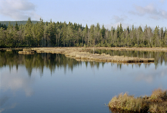 Chalupsk sla - men formt