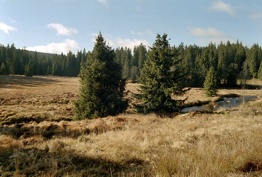 Roklansk potok - vt formt