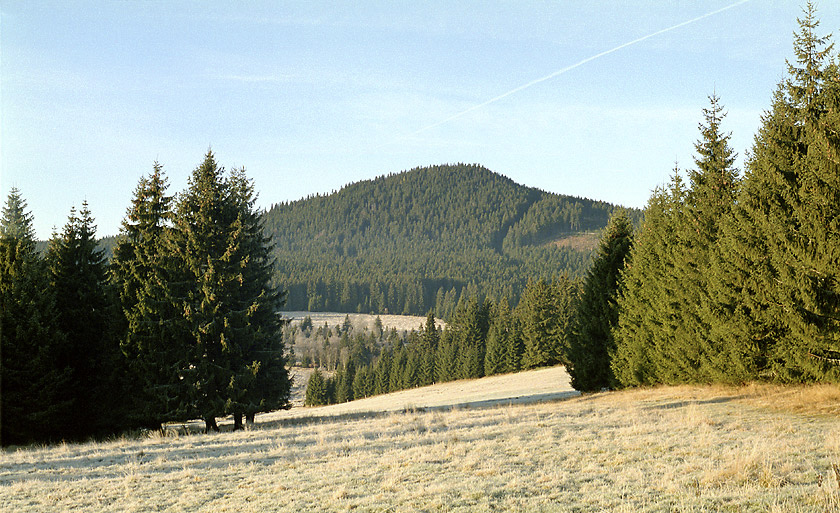 Sokol (Antgl) - vt formt