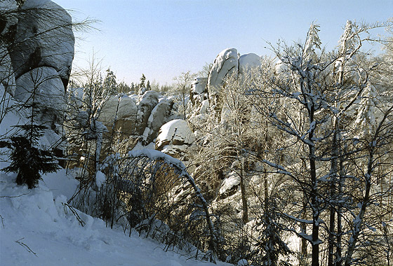 Zvr Kovovy rokle - men formt