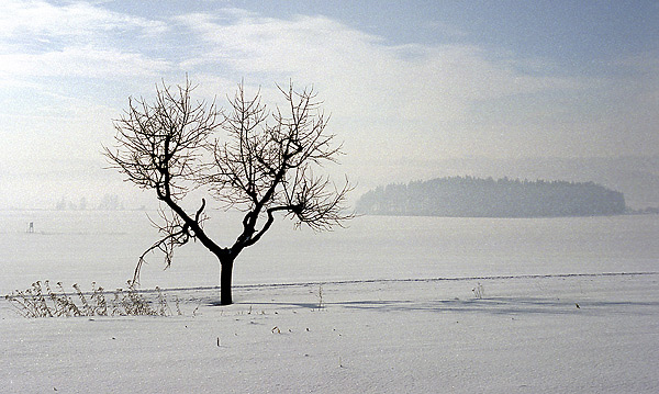 Pod Ostaem - men formt