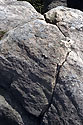 Fulgurite on the "Gun Pillar" - main link