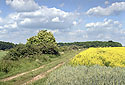 Near "Ton" - main link