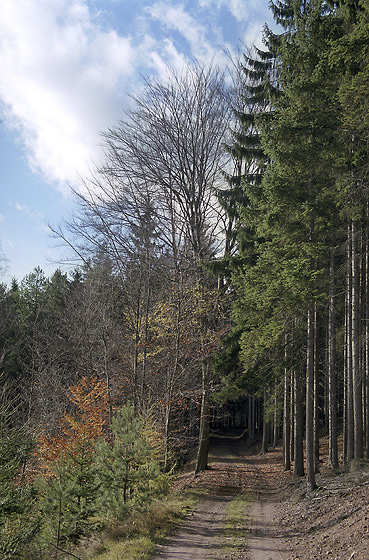 Hillside path - smaller format