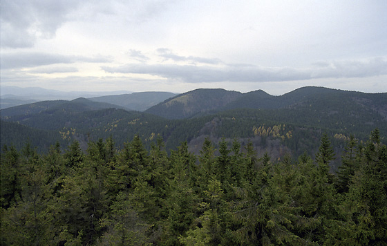 View to north-west - smaller format