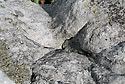 Fulgurite on the "Stork pillar" - main link