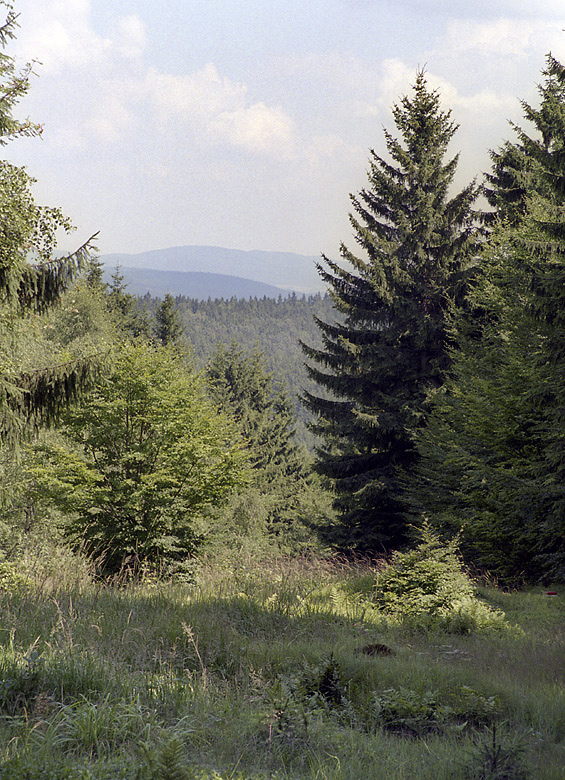 On the ridge - larger format