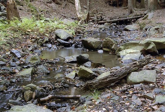 Creek - smaller format