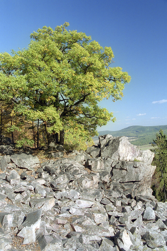 Krkavčí skály - větší formát