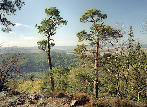 Vista from the "Fabians Garden" - smaller format