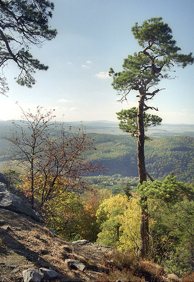 Vista from the "Fabians Garden" - smaller format