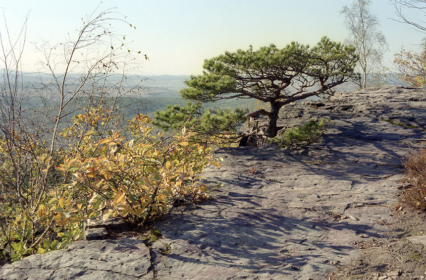 On the "Devils pulpit" - larger format