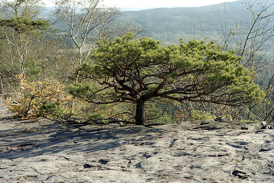 On the "Devils pulpit" - smaller format