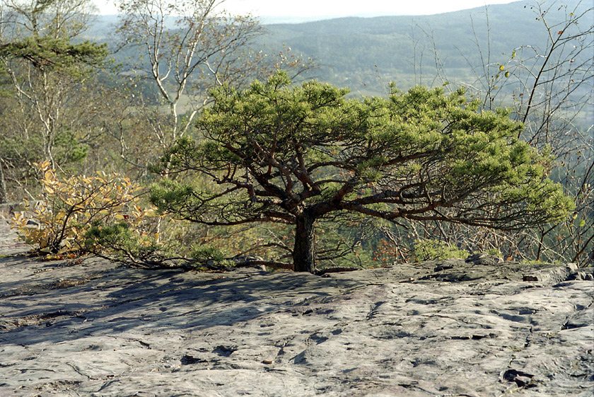 On the "Devils pulpit" - larger format