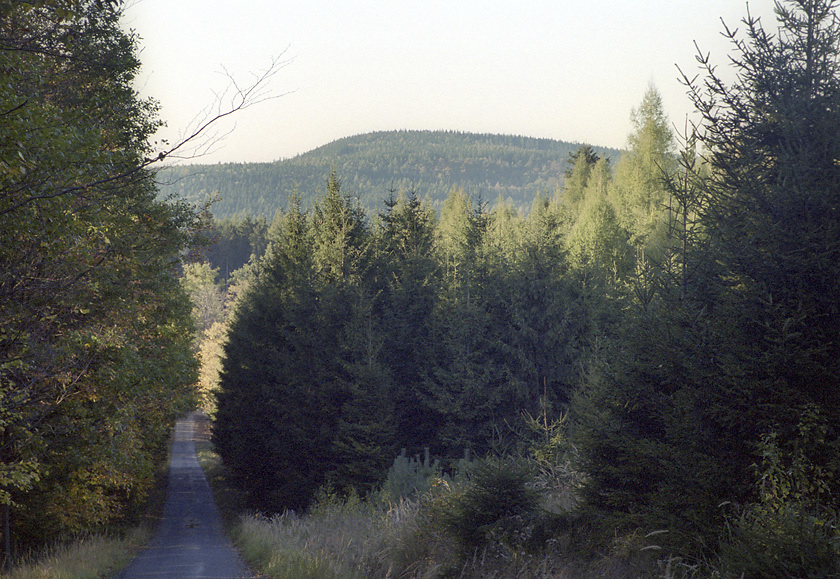 "Bald Hill" - larger format