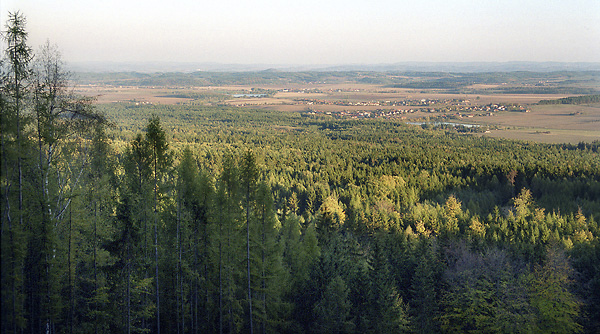 View to south-east - smaller format