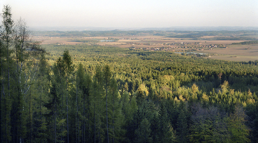 View to south-east - larger format