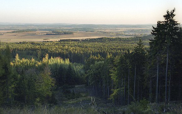 View to south - smaller format