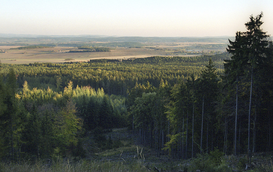 View to south - larger format