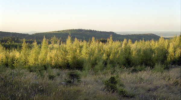 View to north-west - smaller format