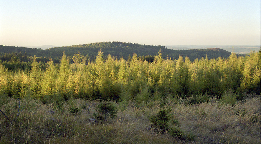 View to north-west - larger format