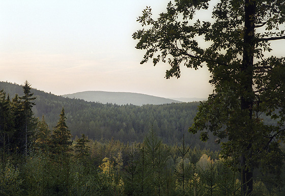 View to "Bald Hill" - smaller format