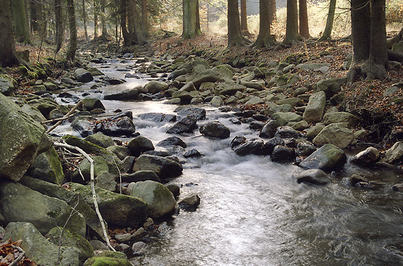 "Padr" creek - smaller format
